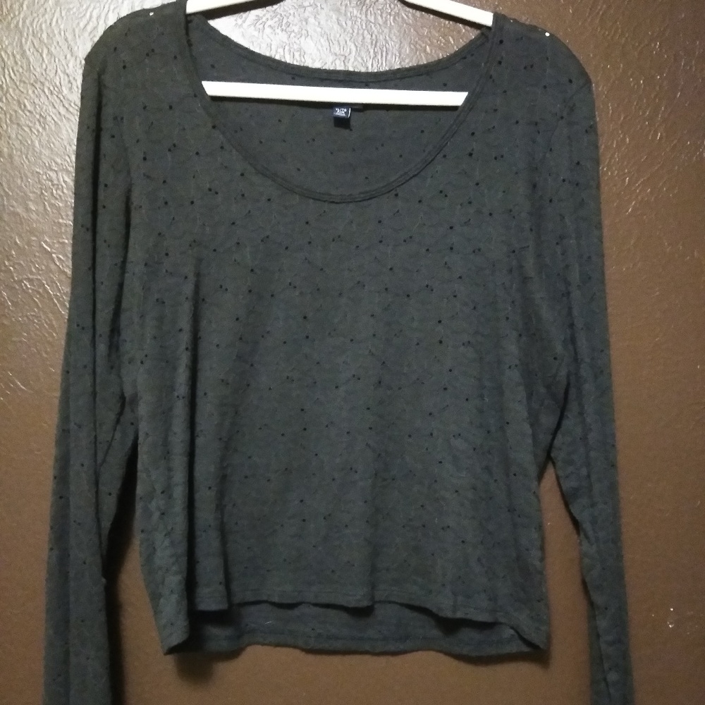 American Eagle Long Sleeve Cropped Shirt